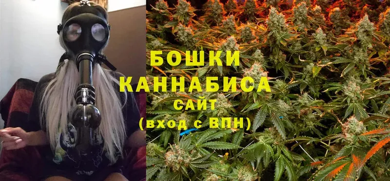 наркотики  Андреаполь  маркетплейс как зайти  Бошки Шишки SATIVA & INDICA 